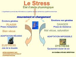 Stress2